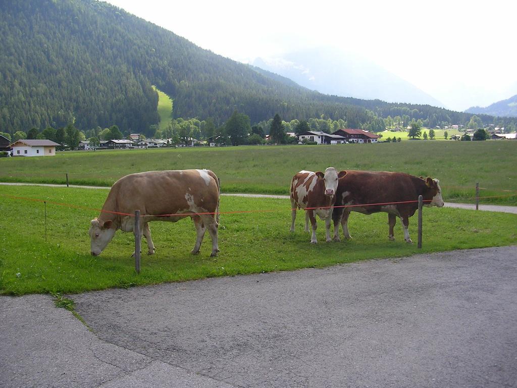 Gaestehaus Bodnerlehen Hotell Schönau am Königssee Rum bild